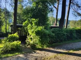 Domek Letniskowy Rożnów-Zapora