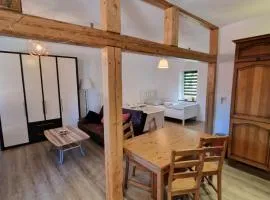 Apartment auf dem Hof einer historischen Mühle