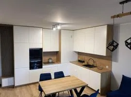 Nowoczesny Apartament Królowej Jadwigi