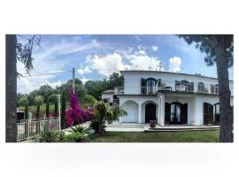 伊尔天堂迪荷叶乐旅馆