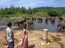 Peacock Village Pinnawala - Offer Alert! Elephant Welfare Program，位于平纳瓦拉的酒店
