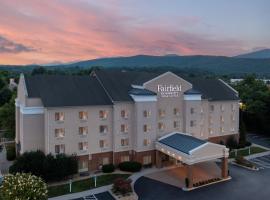 Fairfield Inn & Suites Roanoke Hollins/I-81，位于罗阿诺的酒店