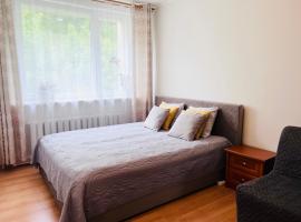 Comfy classic apartment in Trakai，位于特拉凯的酒店