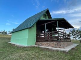 La Nuci，位于Valea scheilor的酒店