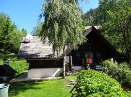 Fischerhütte Donnersbachwald，位于多内尔斯巴赫瓦尔德的度假屋