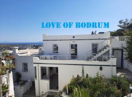 Love of Bodrum House，位于博德鲁姆的别墅