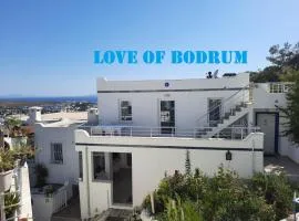 Love of Bodrum House