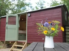 Cosy Shepherd's Hut with Hot Tub