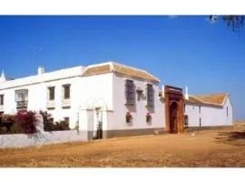 Spacious apartment in Carmona with garden