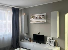 CENTRAL VIEW APARTAMENT，位于阿拉德的宠物友好酒店