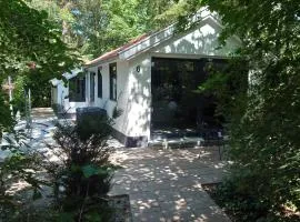 Relaxed Luxe "Boszichthuisje" met Jacuzzi Bospark Ijsselheide Hattemerbroek