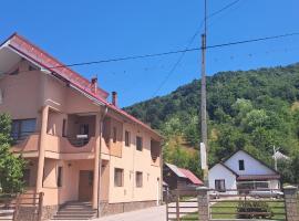 CASA OFRIM, Bârsana, Maramureș，位于BîrsanaBârsana修道院附近的酒店
