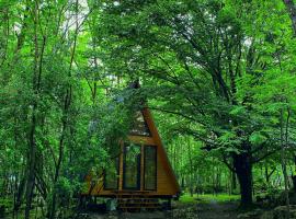 Cottage Villa Ioseliani，位于Kumistavi的山林小屋