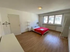 Beautiful Apartment in Center of Küblis