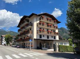 Albergo Dolomiti，位于费拉迪普利米罗的酒店