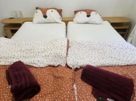 2de double bed room，位于海牙的乡村别墅
