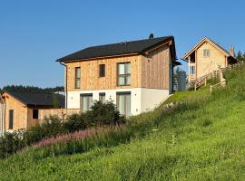 Berglisl - direkt an der Schipiste! Neue Ferienwohnung mit Sauna，位于克利浦托尔的酒店