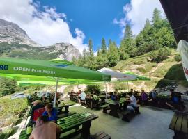 Tičarjev Dom at Vrsic pass，位于索卡的酒店
