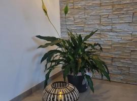 Wellness Ferienhaus，位于梅谢尼希的酒店