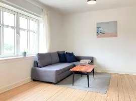 Spacious 3 Bedroom Apartment With 2 Common Rooms