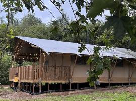 Cherry Tree Safari Lodge，位于Talaton的豪华帐篷