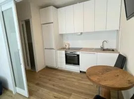 Vintage Apartment Ostrava center city