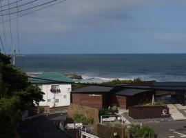太平洋を見渡せる海浜リゾート貸切観海荘チャオ，位于Momiyama的度假短租房
