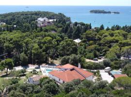 Villa Salteria 3, pool, private territory, pinery，位于罗维尼的度假屋