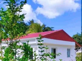 Logement cosy cadre tropical, arbres fruitiers
