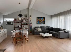 Beautiful 3 bedroom modern house with patio，位于雷克雅未克的酒店