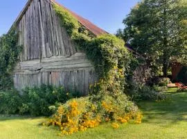 Kolonia u Jasia Rajgród