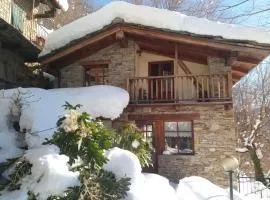 L'ontano sulle Alpi