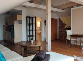 Festl Apartments，位于Forstern的酒店