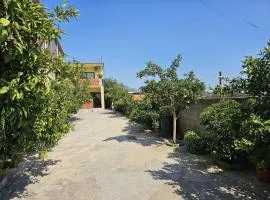 Sokol Guest House