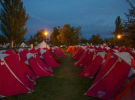 Stoke Travel's Amsterdam Camping，位于阿姆斯特丹的露营地