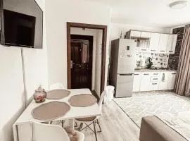 Apartament One Divine - Zarnesti