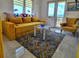 Apartman Berlin Sokobanja，位于索科矿泉村的酒店