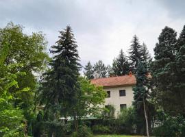 DAH BOROVA - BANJA TOPILO，位于Banja Topilo的酒店