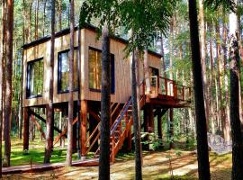 Tree Houses Olszanka，位于Puszcza Mariańska的酒店