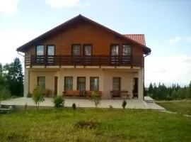 Pensiunea Dealu Negru 17B