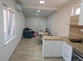 Apartman LENI2 u centru Zajecara