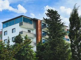 Next Suite，位于特拉布宗的酒店