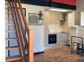 Studio duplex meublé avec place de parking