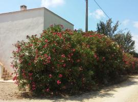 Pequeña casa rural en el centro del Delta del Ebro，位于阿姆泼斯塔的酒店