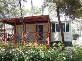 Comfortable chalet with two bathrooms at 31 km from Zadar，位于比奥格勒·纳·莫鲁的木屋