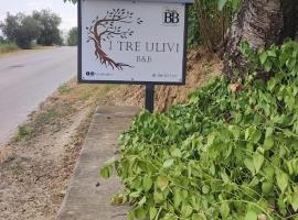 B&B I Tre Ulivi，位于Morro dʼOro的酒店