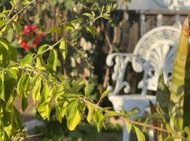 Nina's Stay Hostel，位于沙尔内卡的酒店