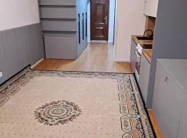 Fully furnished 1 bedroom apartment near of Emart shopping center