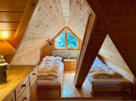 Chalet Gaïa，位于米德尔布罗齐齐耶维奇的酒店