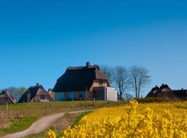 Reetdorf Geltinger Birk Künstlerkate Lagune，位于Nieby的酒店